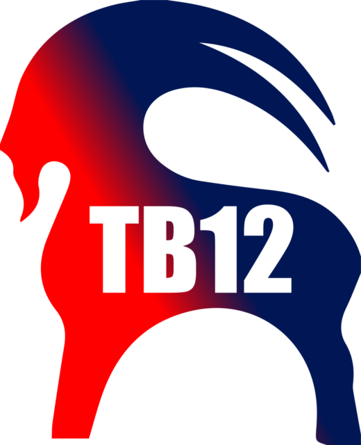 T B12 Logo Graphic