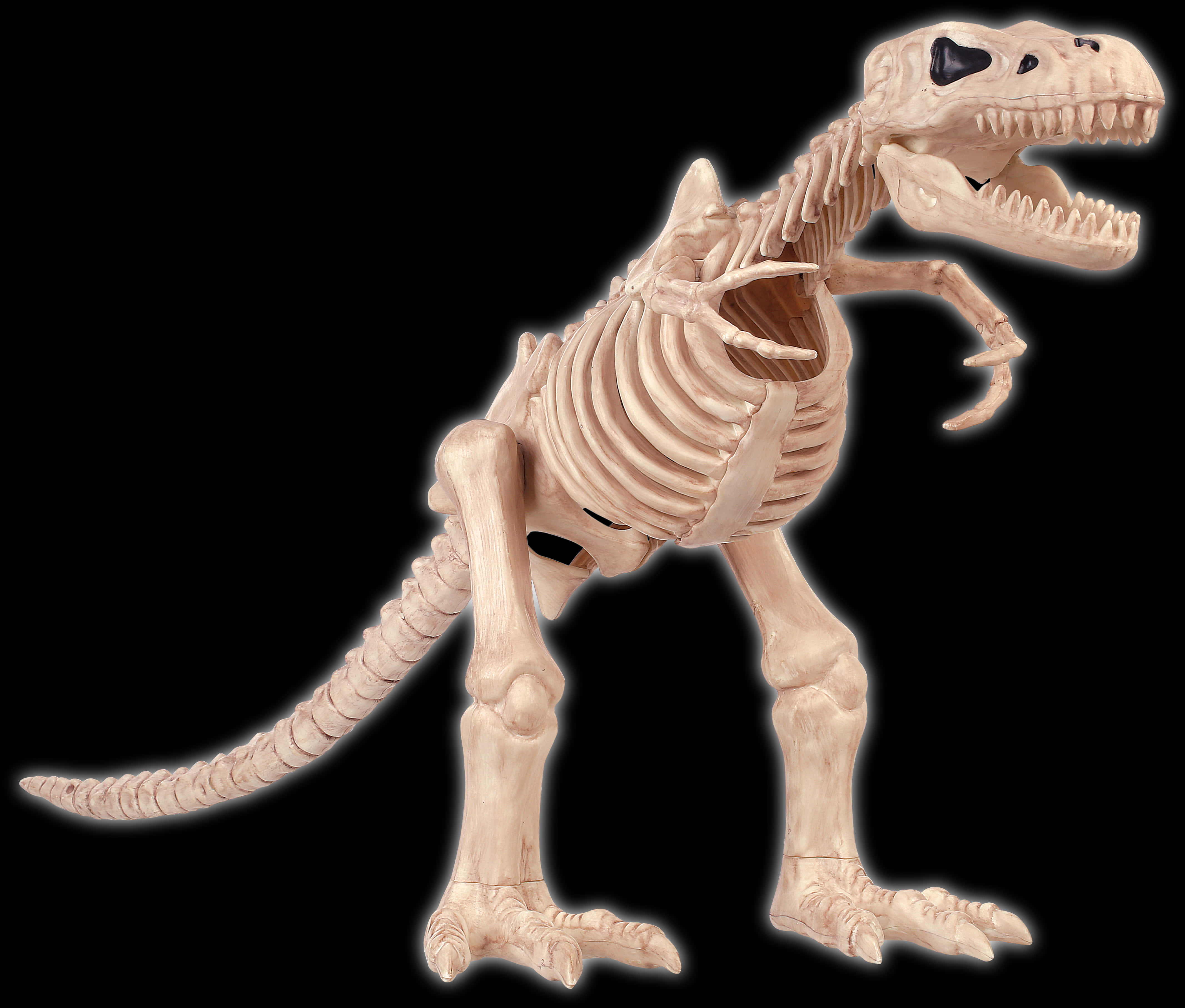 T Rex Skeleton Illustration