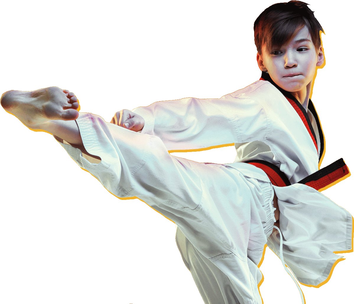 Taekwondo Kick Action Pose