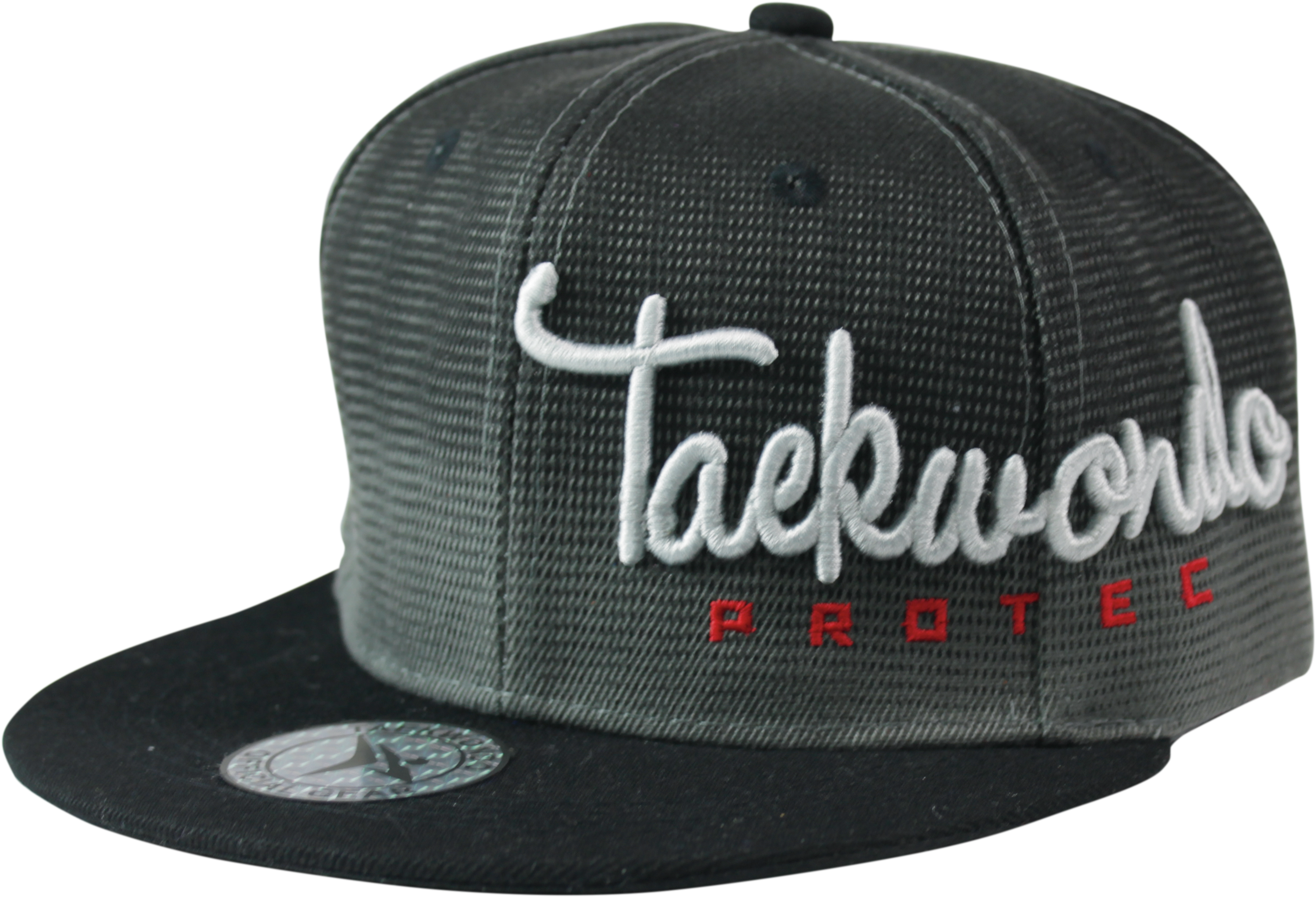 Taekwondo Protec Black Snapback Hat