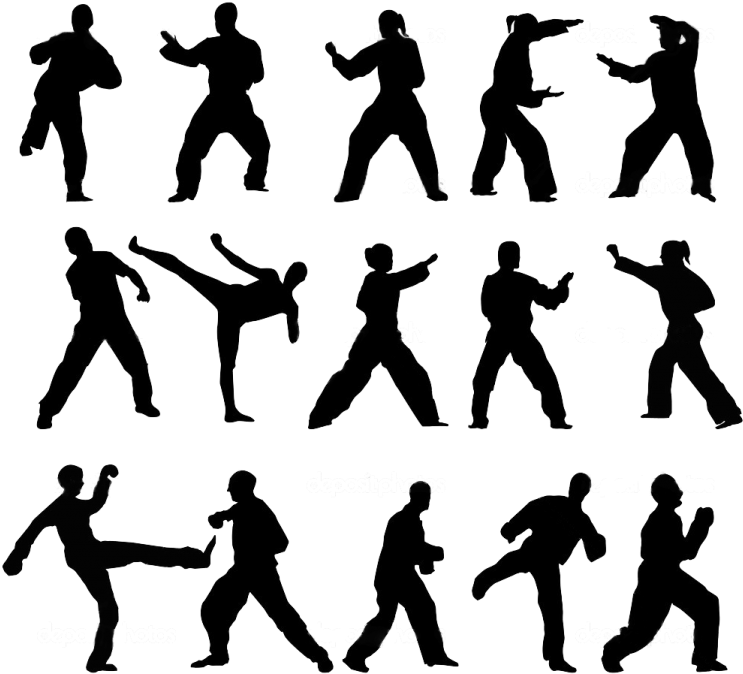 Taekwondo Silhouettes Set