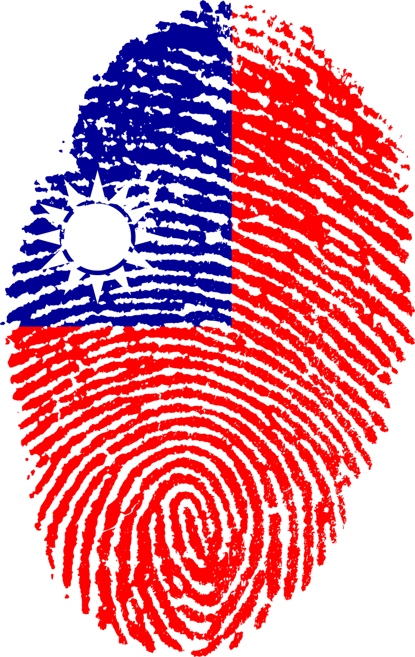 Taiwan Flag Fingerprint Art