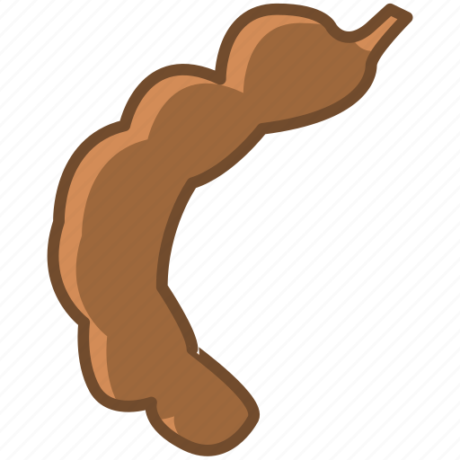 Tamarind Pod Vector Illustration