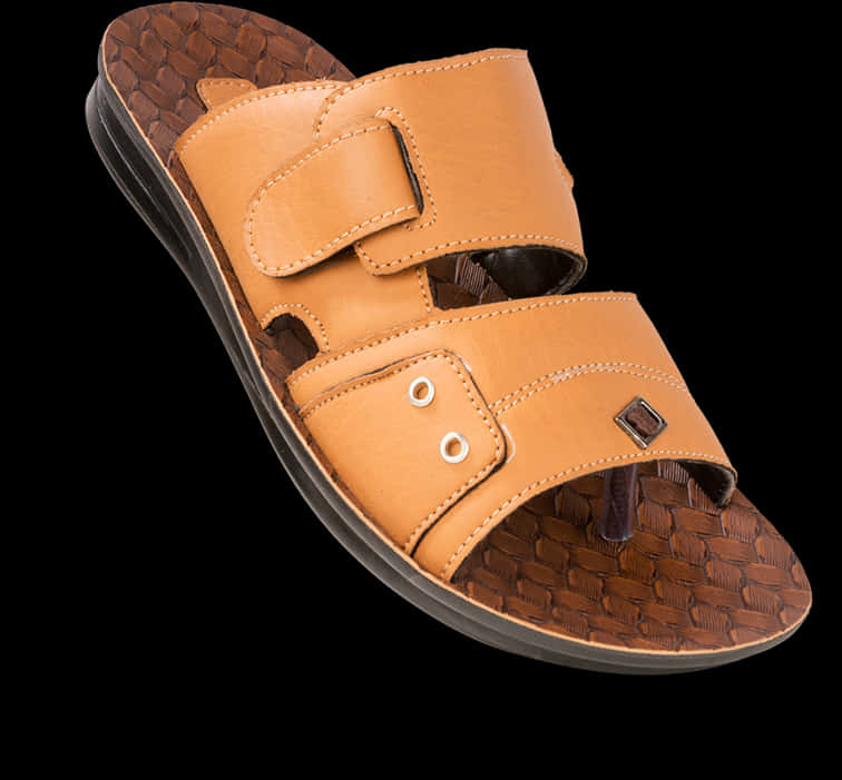 Tan Leather Womens Sandal Isolated
