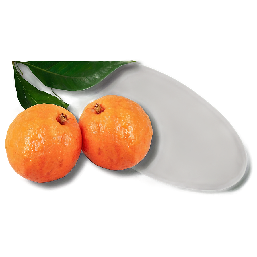 Tangerine Artistic Png 73