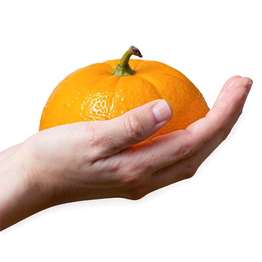 Tangerine In Hand Png 92