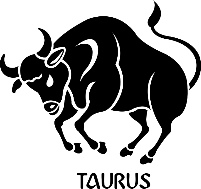 Taurus Zodiac Sign Illustration