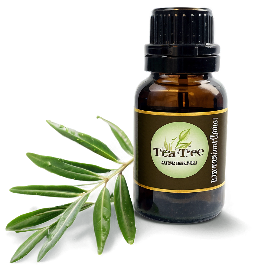 Tea Tree Essential Oil Png Fkq35