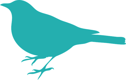 Teal Bird Silhouette