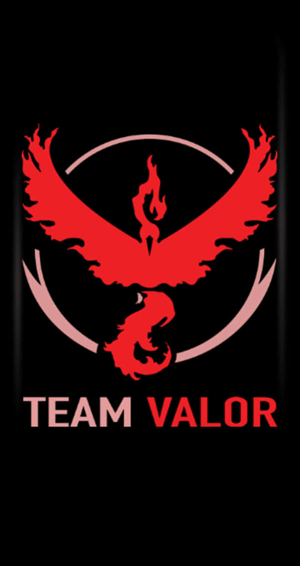 Team Valor Emblem Pokemon
