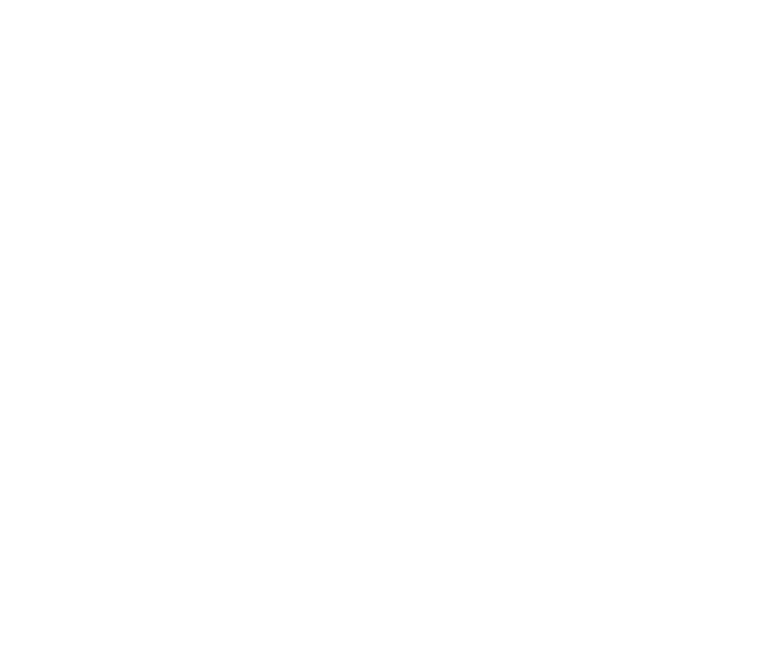 Techset_ Academy_ Logo