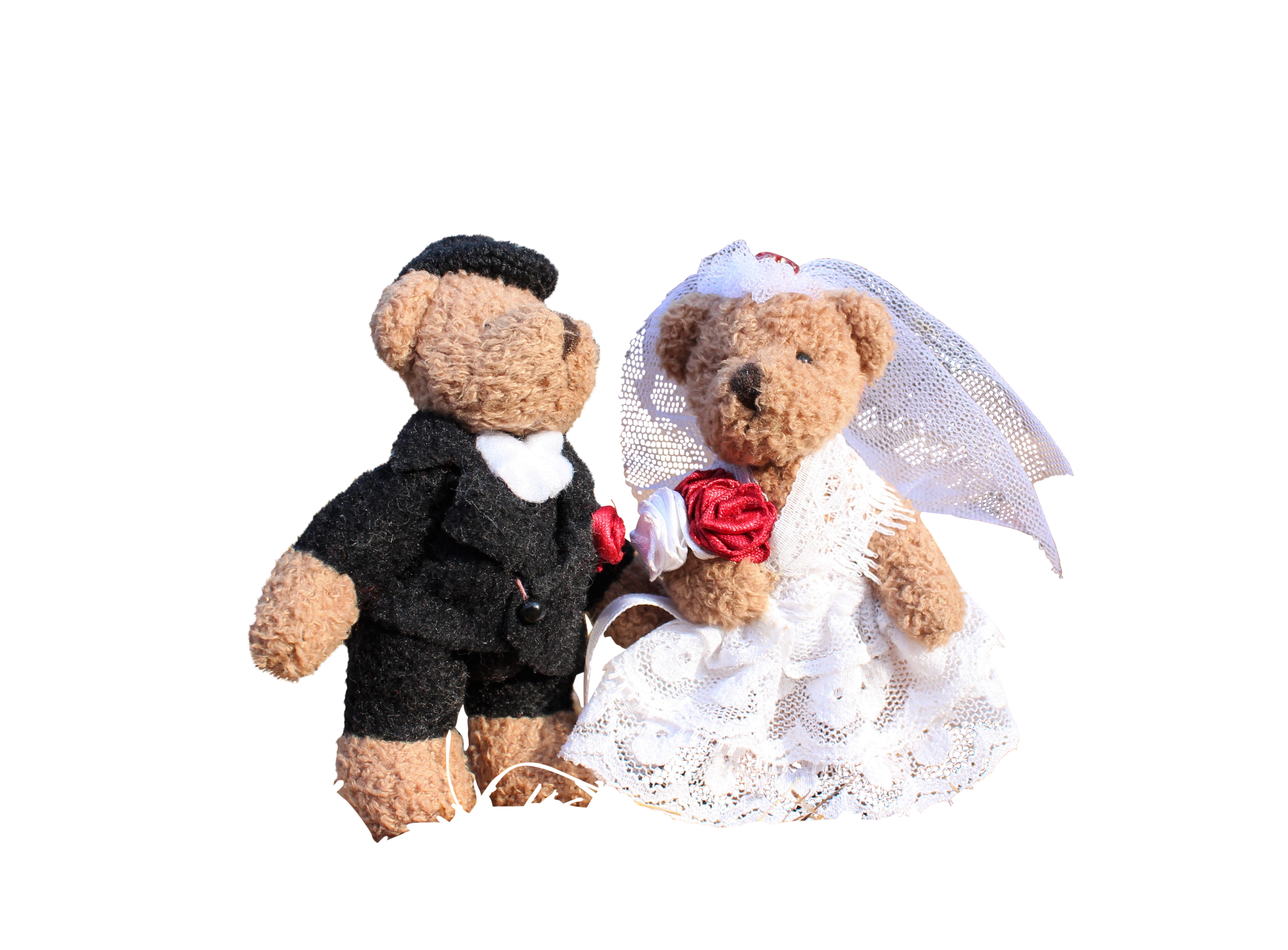 Teddy Bear Wedding Couple Black Background