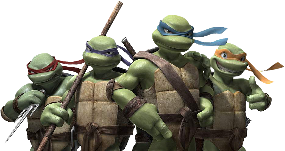 Teenage Mutant Ninja Turtles Team