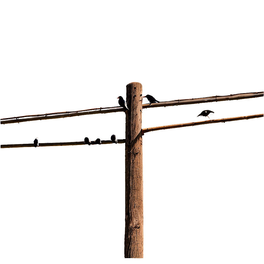 Telephone Pole With Birds Png 06132024