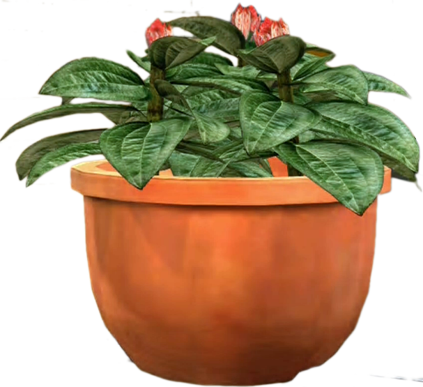 Terracotta Plant Potwith Flowering Plant