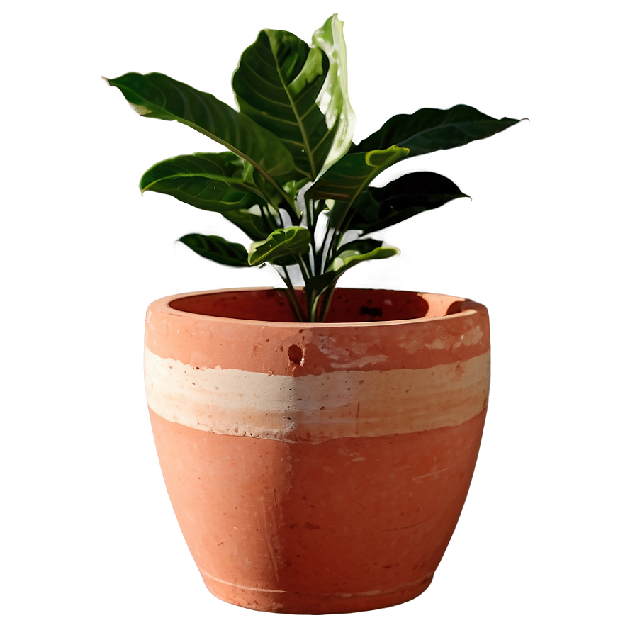 Terracotta Pot Png Ulx75