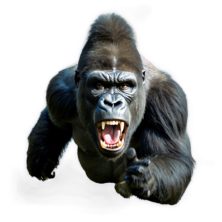 Terrifying Angry Gorilla Png 06252024