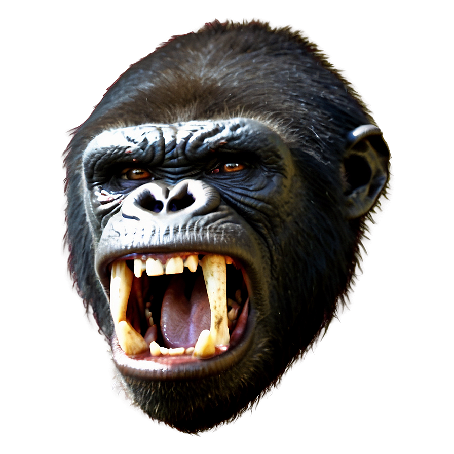 Terrifying Angry Gorilla Png 27