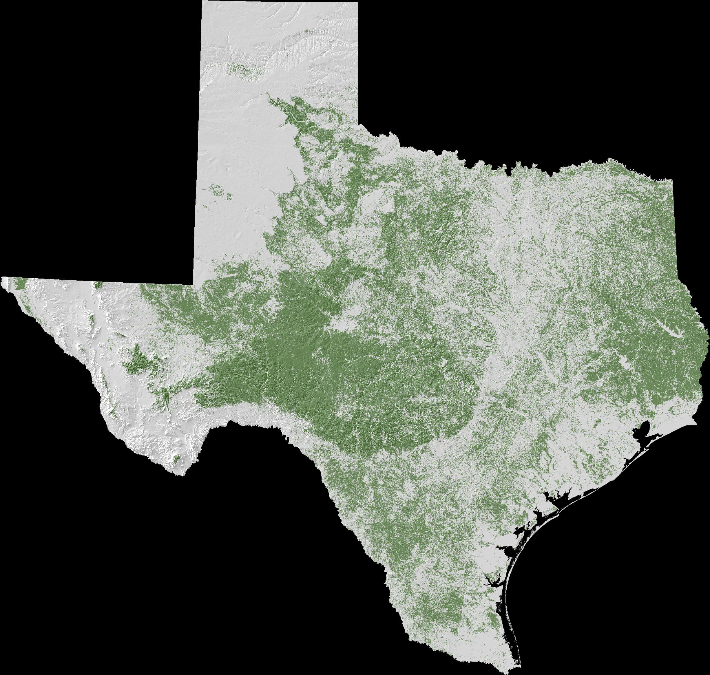 Texas Vegetation Map