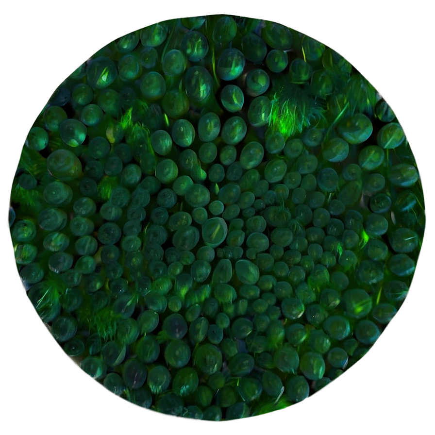 Textured Green Circle Png Wwf