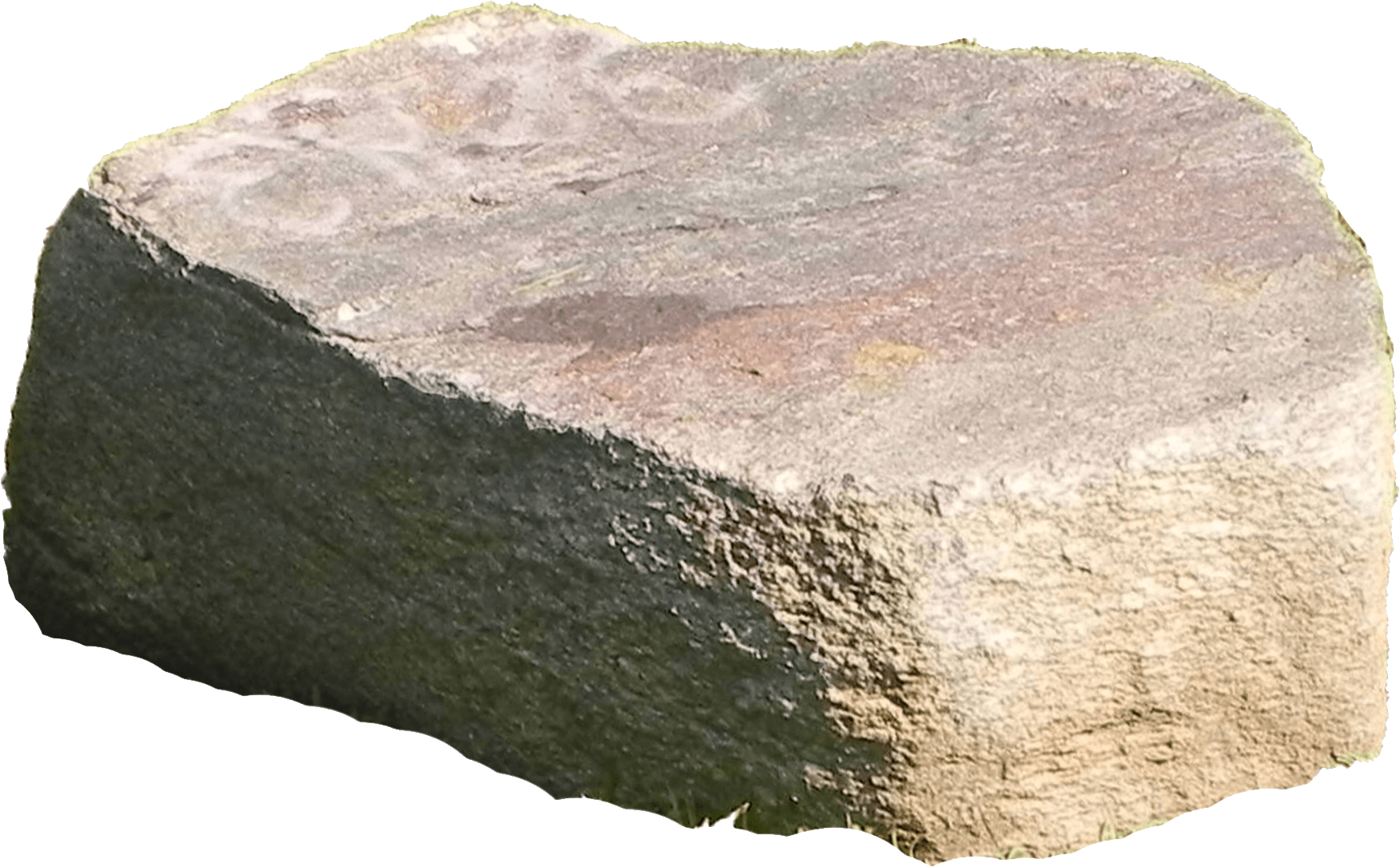 Textured Rock Surface