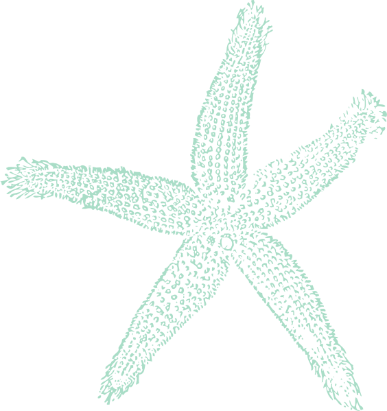 Textured Starfish Clipart Illustration