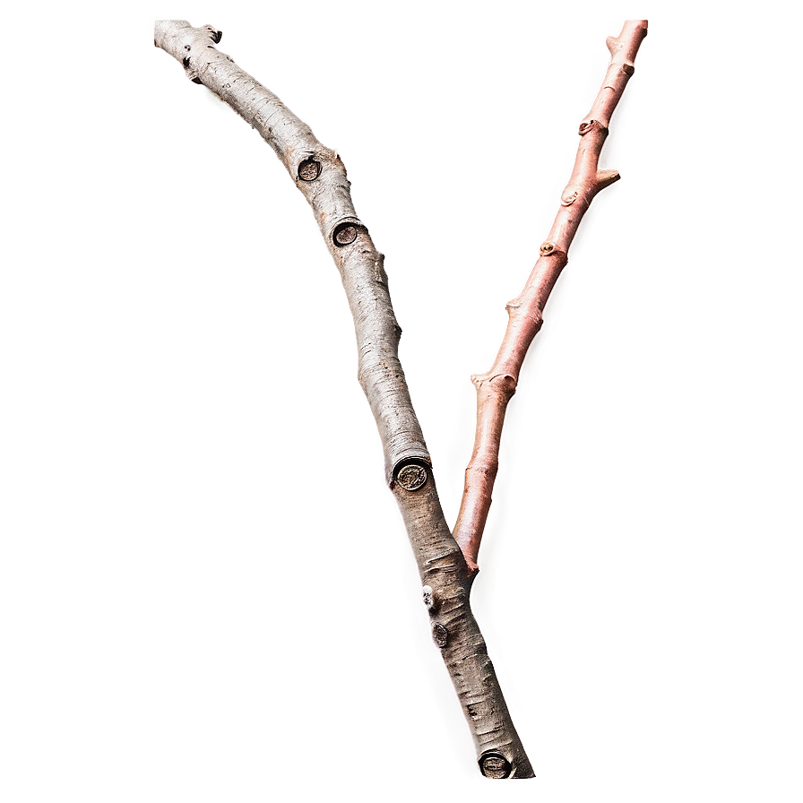 Textured Twig Png 06132024