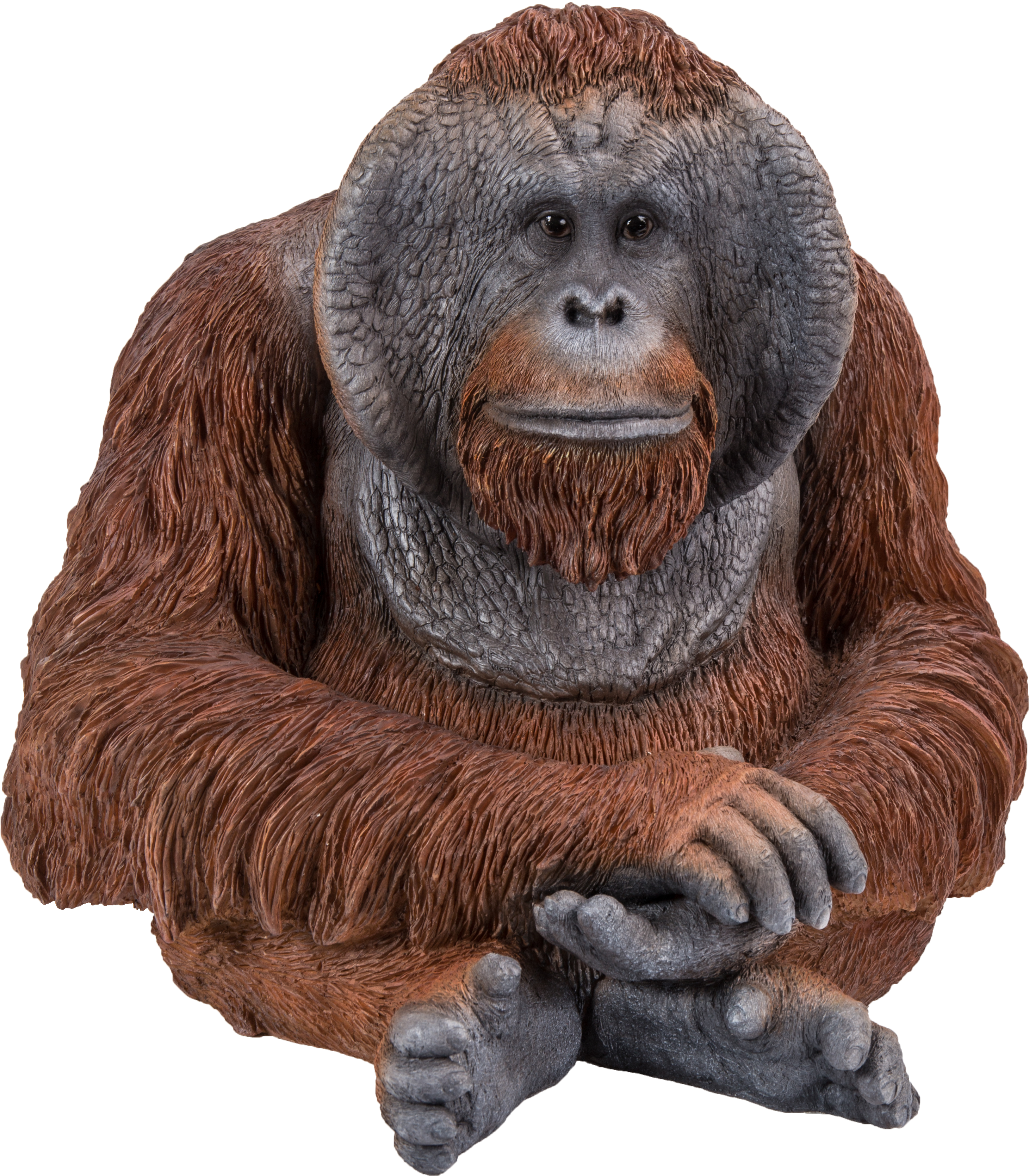 Thoughtful Orangutan Portrait