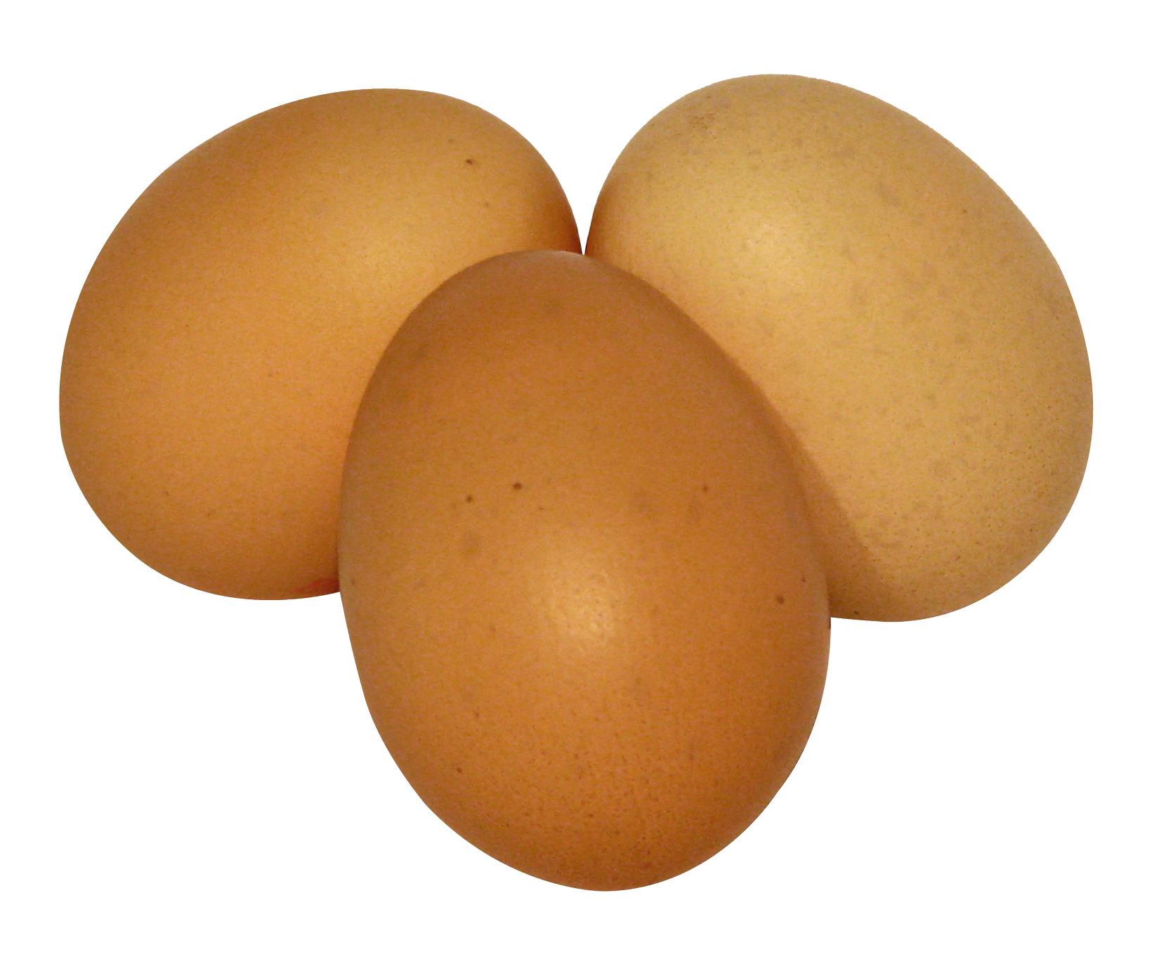 Three Brown Eggson Gray Background