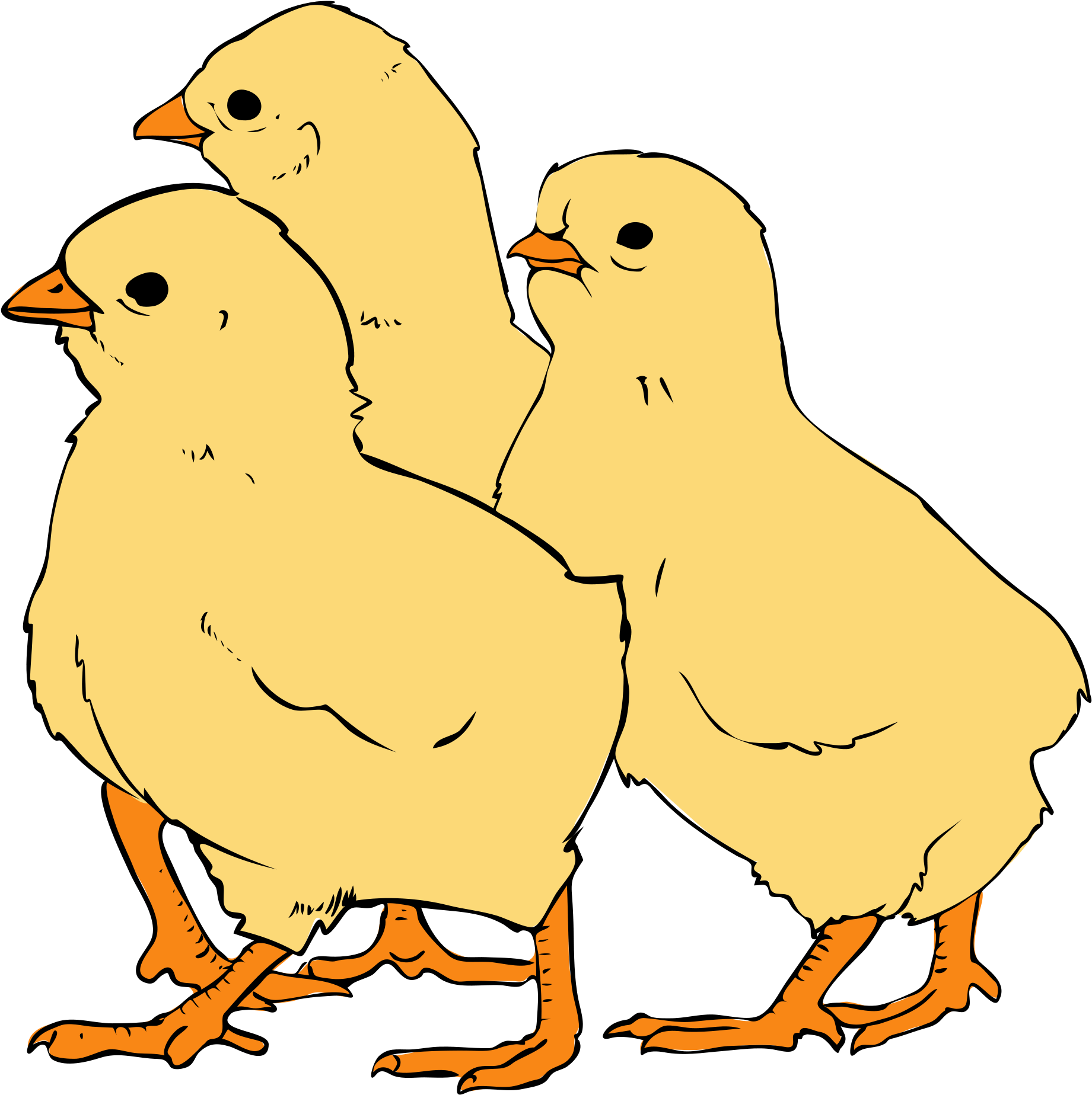 Three Cartoon Chicks Standing