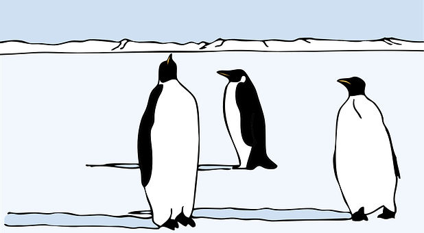 Three Penguins Iceberg Illustration