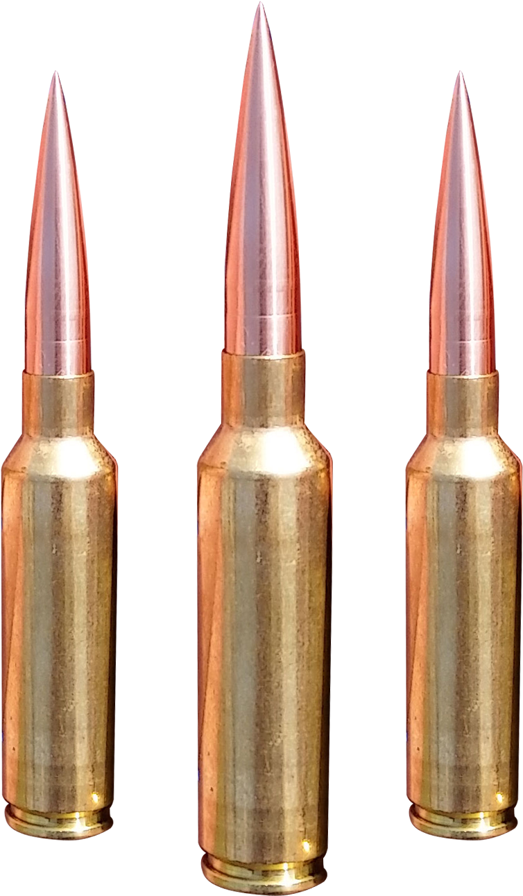 Three Rifle Bullets Sideby Side