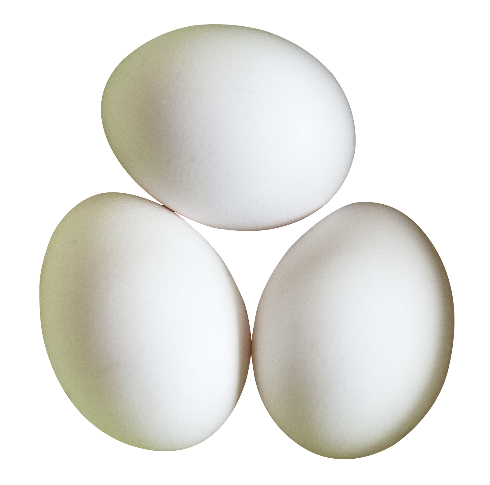 Three White Eggson Gray Background