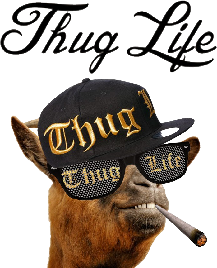 Thug Life Camelwith Attitude.png