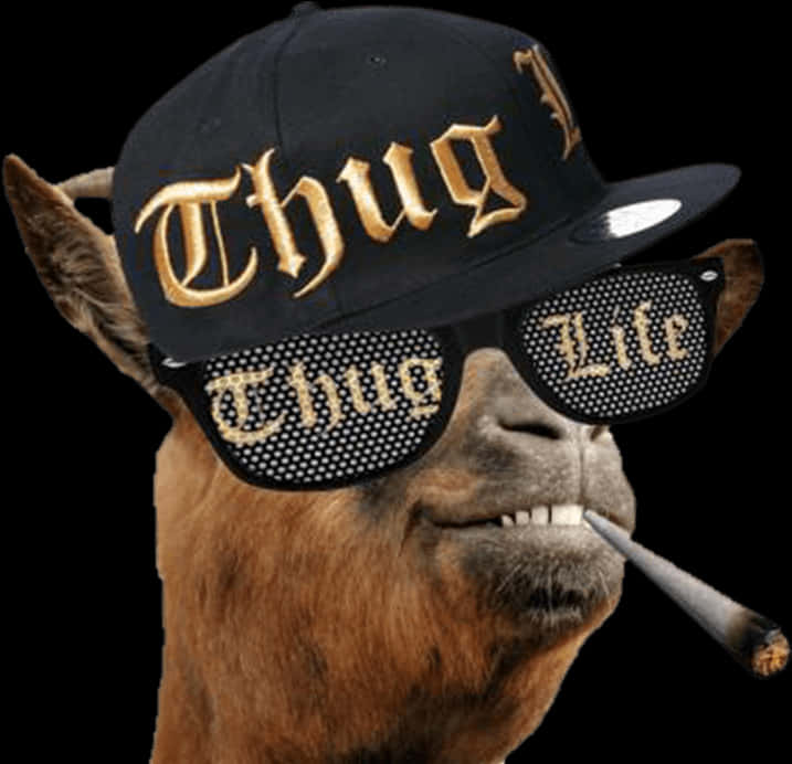 Thug Life Llamawith Glassesand Hat