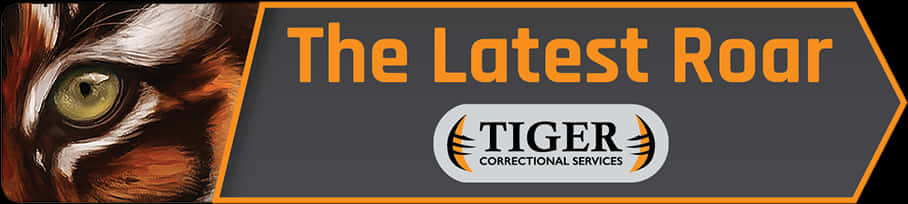 Tiger Correctional Services Banner