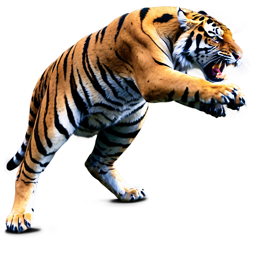 Tiger Full Of Anger Png Qoi89