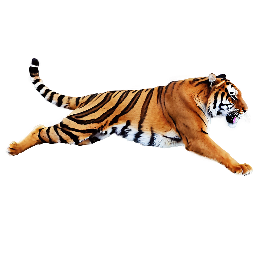 Tiger In Attack Mode Png Pke