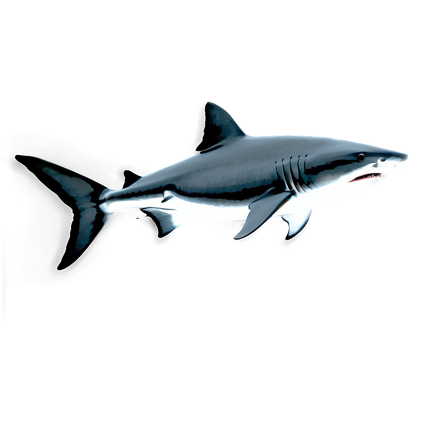 Tiger Shark Black And White Png 88