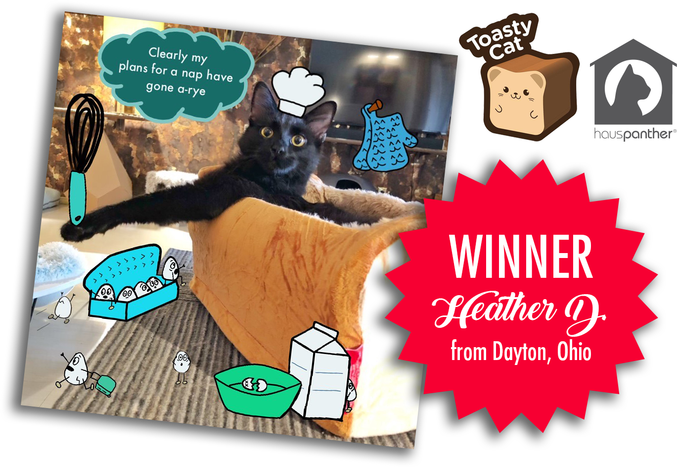 Toasty Cat Winner Heather Dayton Ohio