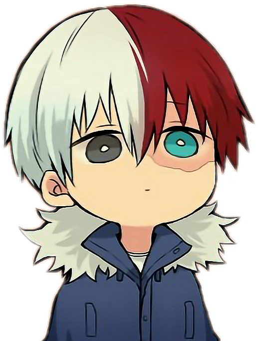 Todoroki Shoto Anime Character