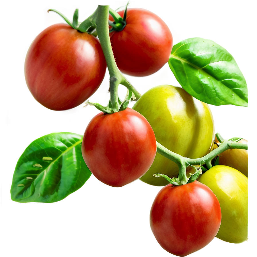 Tomato Cluster Png Tql93