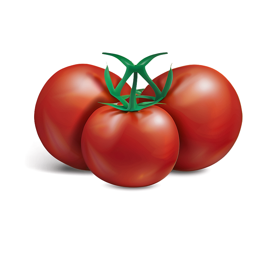 Tomato Drawing Png 05242024