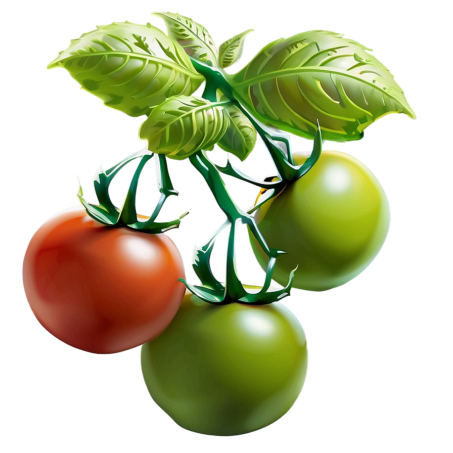 Tomato Garden Png Hvr