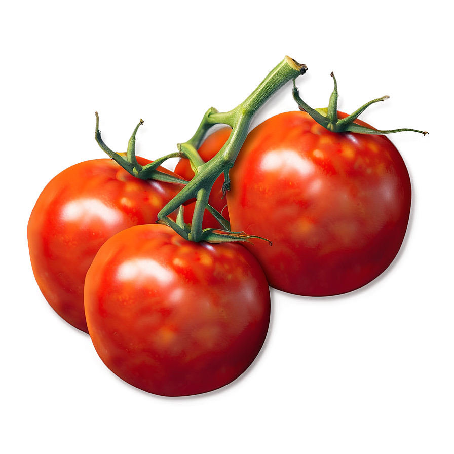 Tomato Icon Png Jgx