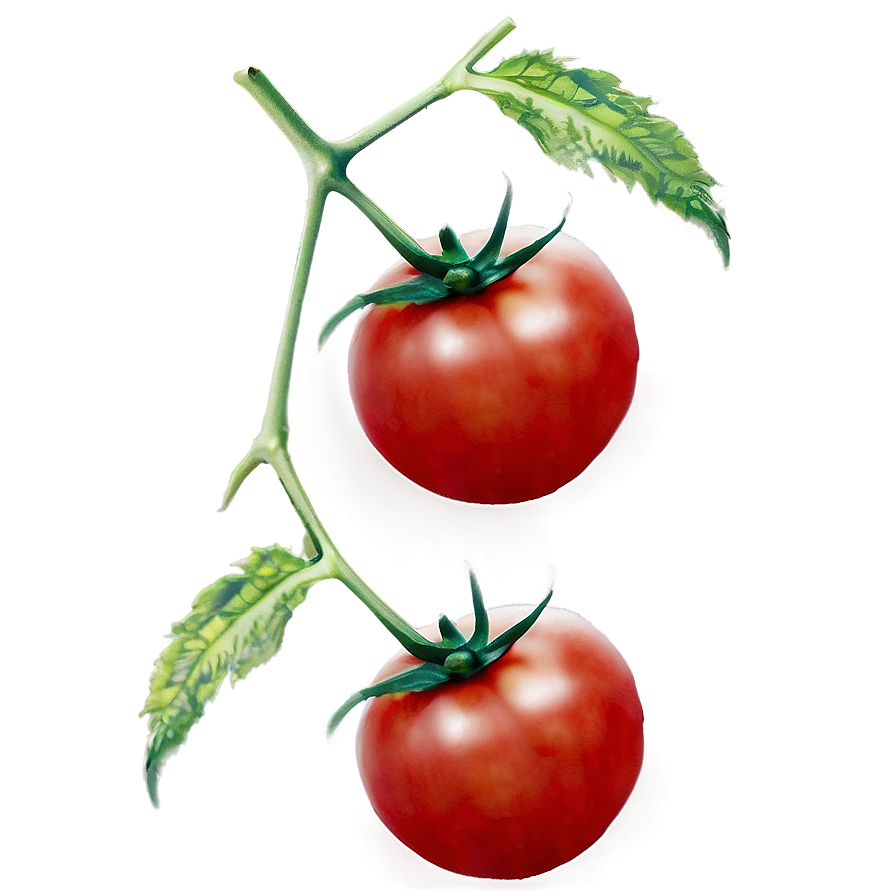 Tomato Pattern Png Auw