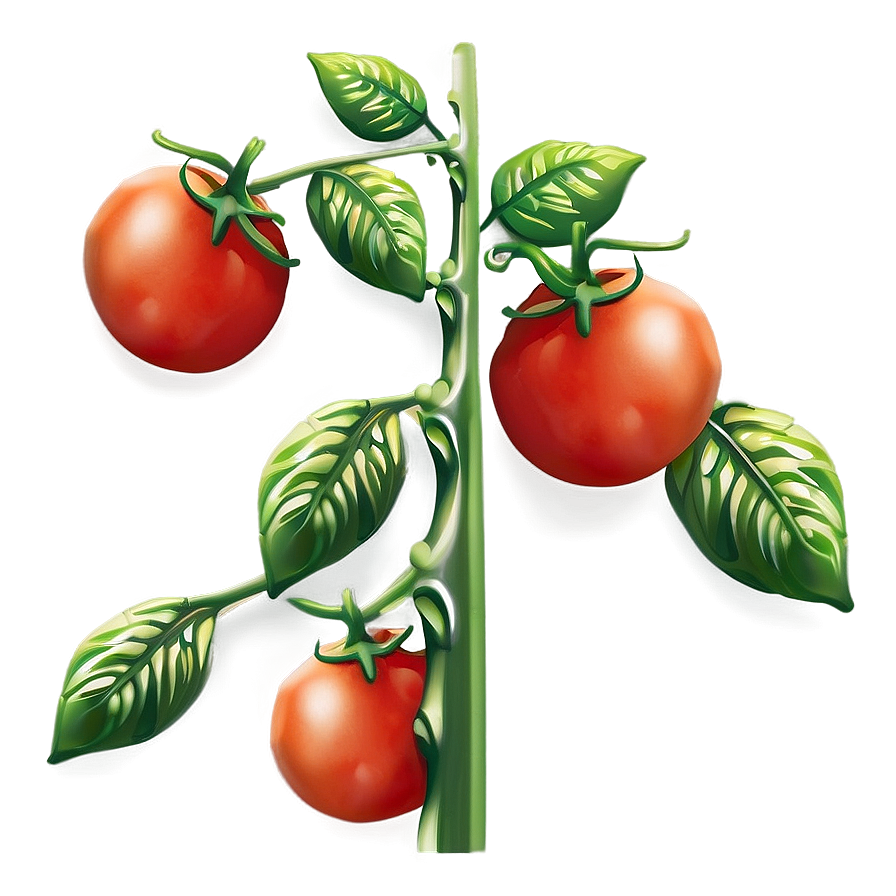 Tomato Plant Flower Png Lbu99