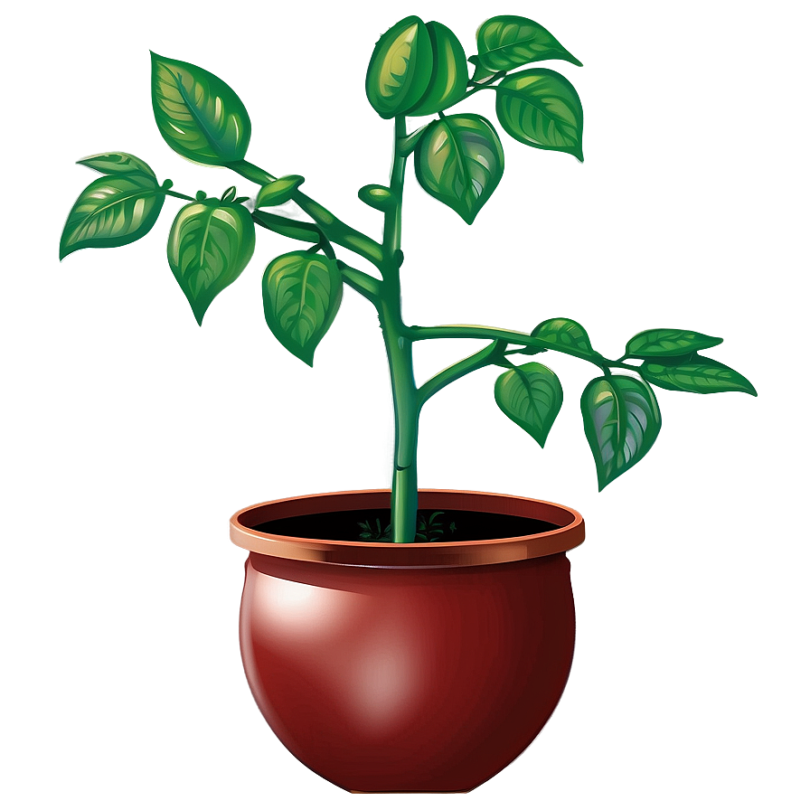 Tomato Plant Watering Png Nby43