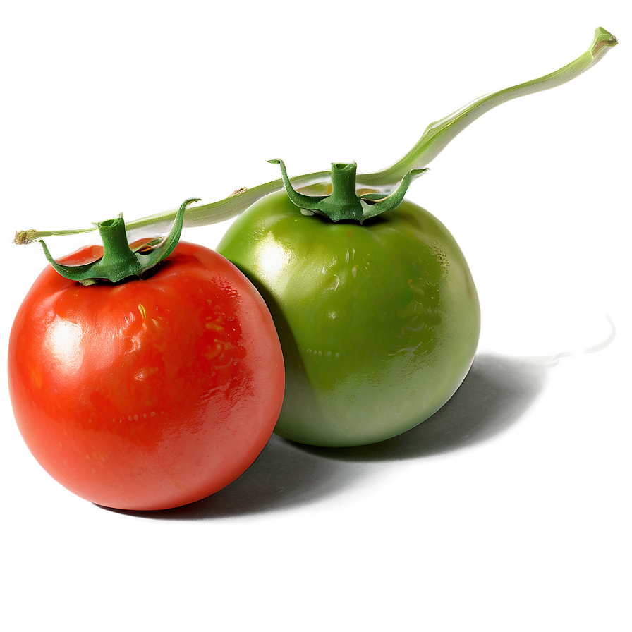 Tomato Sketch Png 76