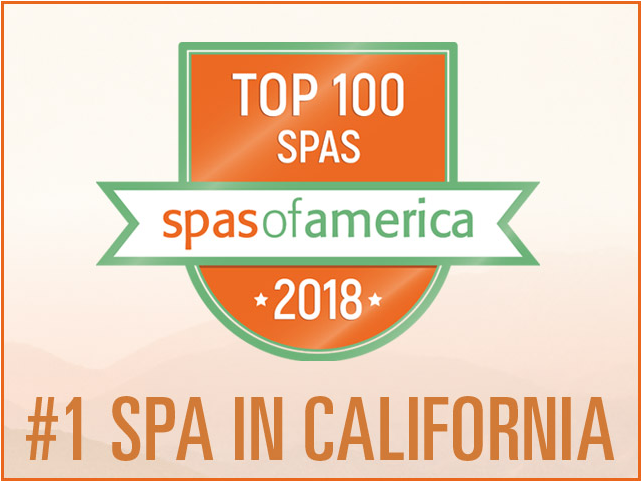 Top100 Spasof America2018 Award